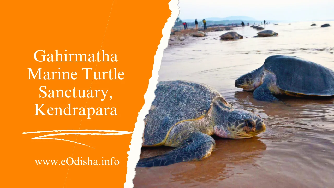 Gahirmatha Marine Turtle Sanctuary, Kendrapara